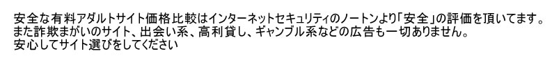 安全で安心の有料アダルトサイト価格比較